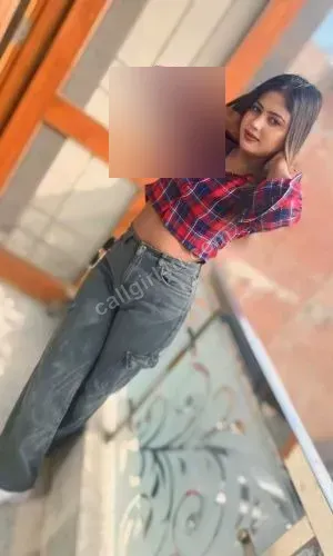 Indu - VIP Companion