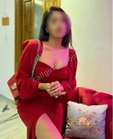 Vidya - VIP Companion