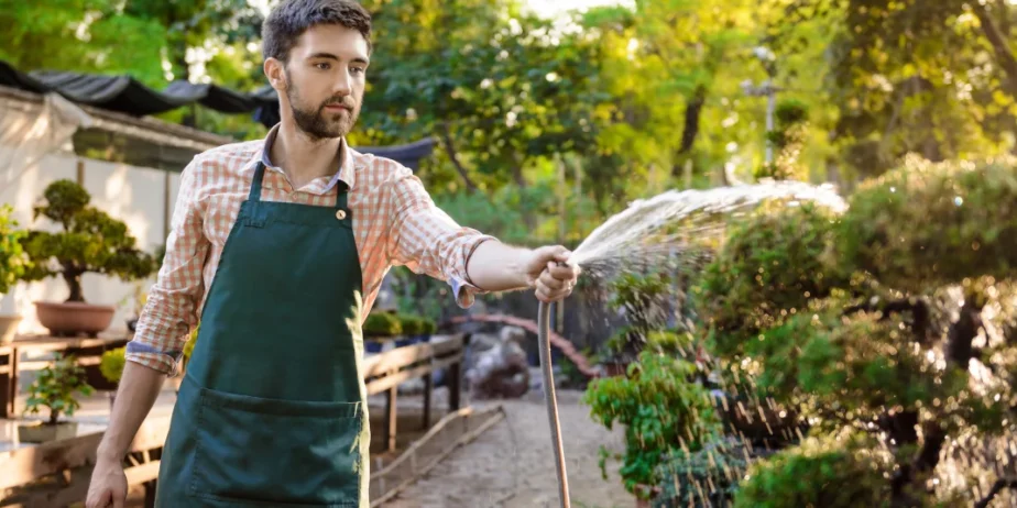 Landscaping Services